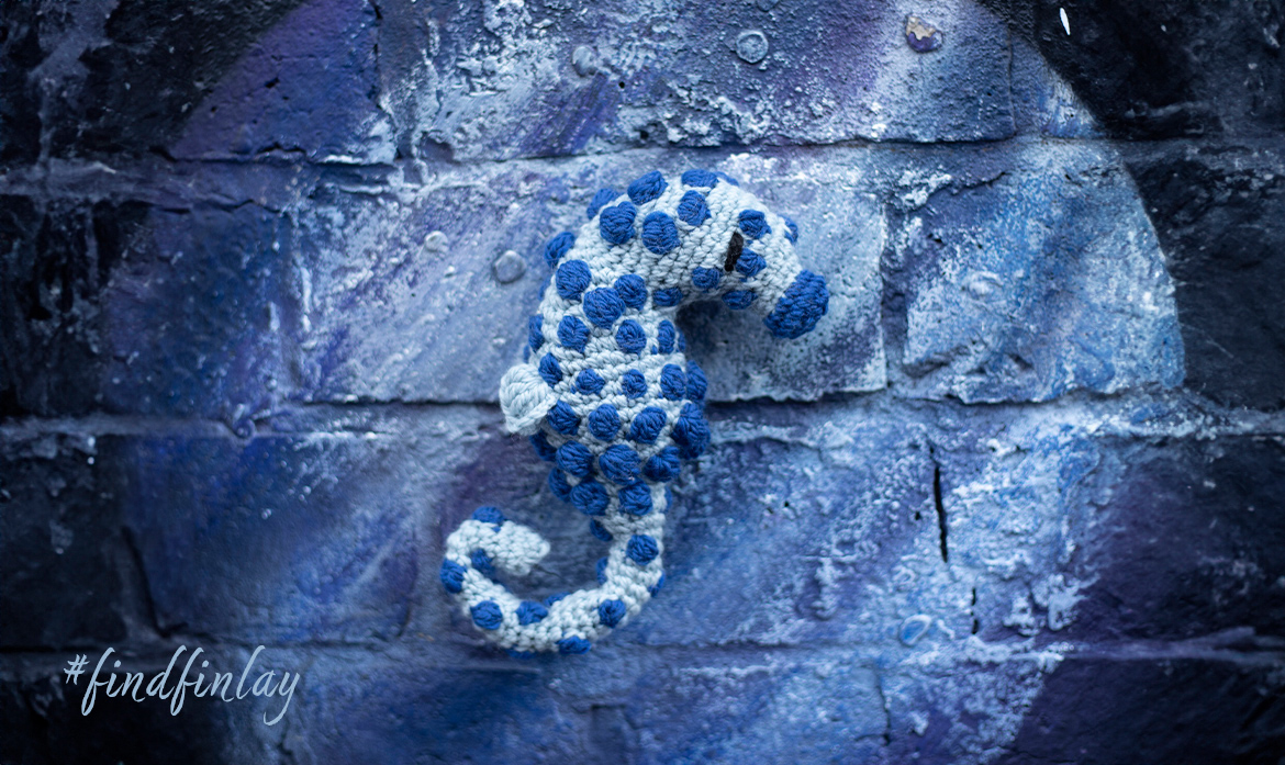 summer competition pygmy seahorse join photography win goody bags blue